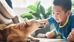 13 lợi ích tuyệt vời của việc nuôi thú cưng đối với trẻ nhỏ